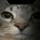 Lxnny