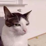 YaazkiddAlt