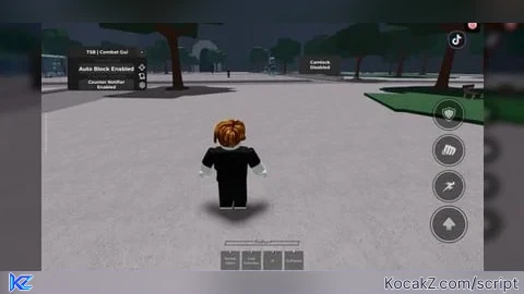 Combat Gui