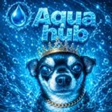 AquaHubs
