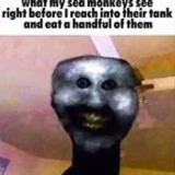 echulk
