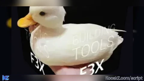 PlotCopy X (Best  Plot Copy) - Verified script for town