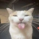 kyoo