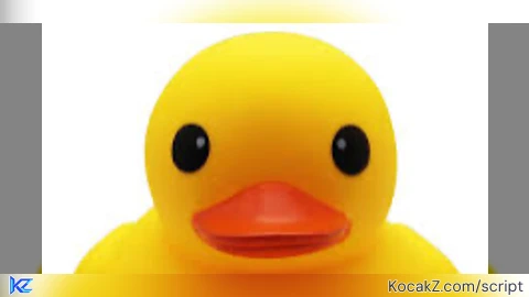 Ducky ss - Verified script for Universal Script