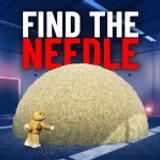 Needle In A Haystack