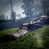 Fallen Ashes