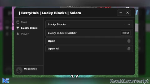 Block BerryHub - Verified script for ❓ LUCKY BLOCKS Battlegrounds