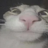 water_hax