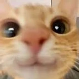 Maanaaaa
