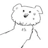 Bobby_bobinson