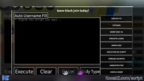 executor team black join today - Verified script for Universal Script
