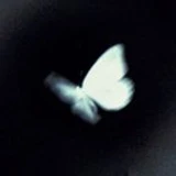 lxneira