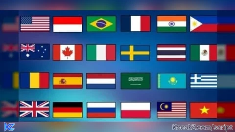 AUTO FIND ALL FLAGS