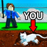 The Cat Shelter 🐱