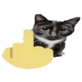 Hu2s3y