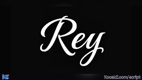 Rey Hub | Universal Script, Hide Delta Line, YT Music Player
