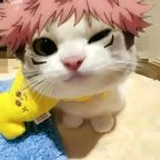 baoo_224