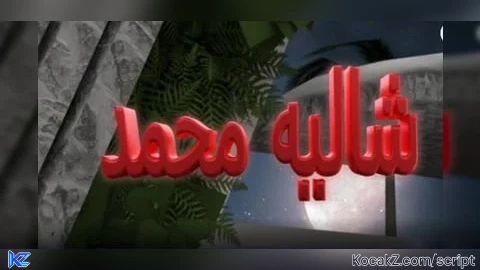 ali_101 - Verified script for Chalet Mohammad