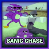 Sanic Chase 🏃