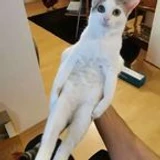 TruthfulJubi