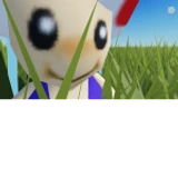 TOAD