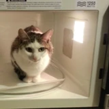 microwaveyd