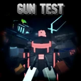 Gun Test