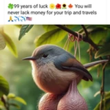 gipjinwi0puhnjkw
