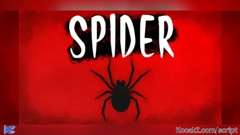Script V1 - Verified script for Spider