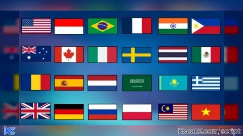 Find ALL Flags