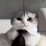 BadScriptsMaker