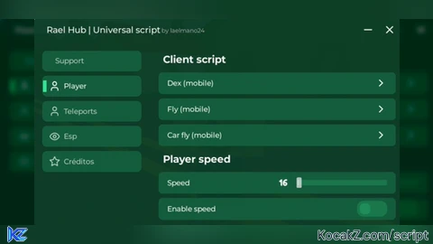 Rael Hub Universal - Verified script for Universal Script
