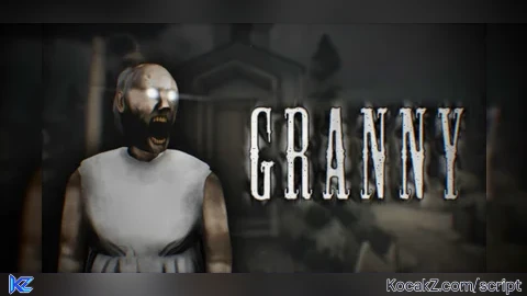 Zephyr Gr4nny V5 - Verified script for Granny