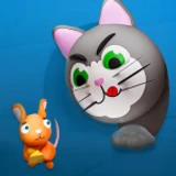 Cat VS Mouse 🐁