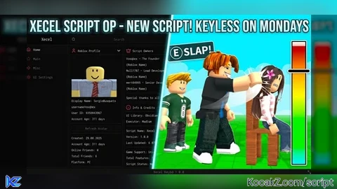 Xecel OP features