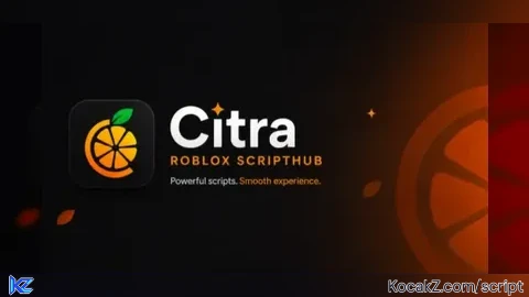 Cita Hub