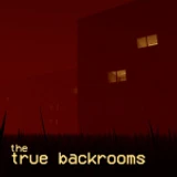 The True Backrooms: Renovated