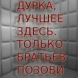 The Asylum