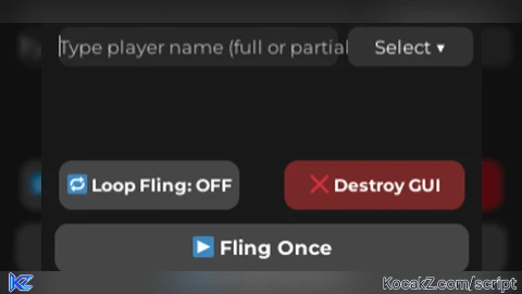 Fling Panel - Verified script for Universal Script