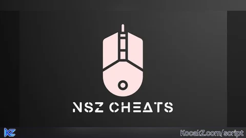 NSZ Cheats | Aimbot | ESP | Gun Mods - Verified script for Arsenal