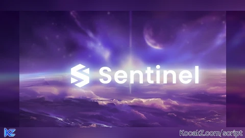 Sentinel Simple Script