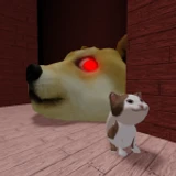 Doge Head Escape