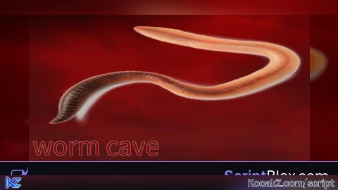 Esp and auto save puzzle - Verified script for worm cave