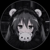 DevAuroraCode