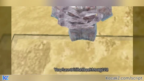 Wimply Scripts  Basically Makes you a god for this game