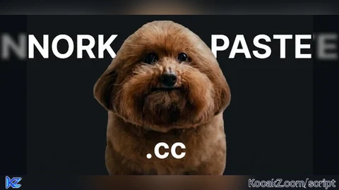 norkpaste.cc | FREE AND PAID VERSION - Verified script for Criminality
