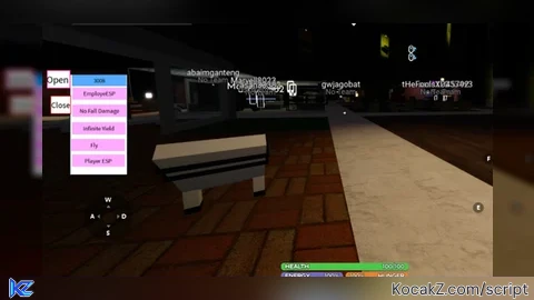 No Fall Damage ESP Fly etc