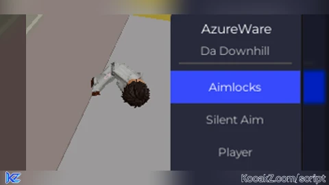 hood and   camlock and silent aim