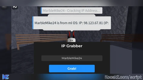 Ip Address Check - Verified script for Universal Script