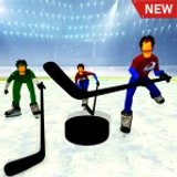 Realistic Hockey